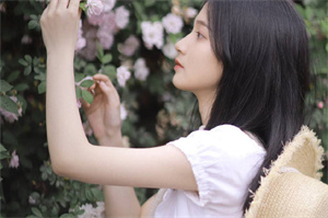 上海品茶工作室：上海选举的电子投票系统现状